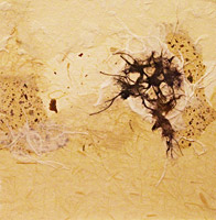 Desert Textures, painted collage